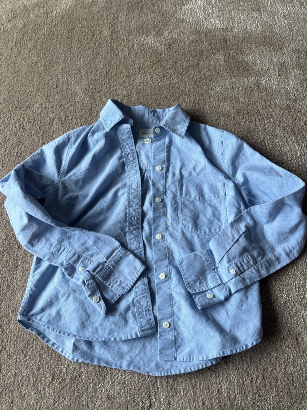 Aritzia Wilfred Light Blue Button-Down Shirt